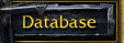 Database